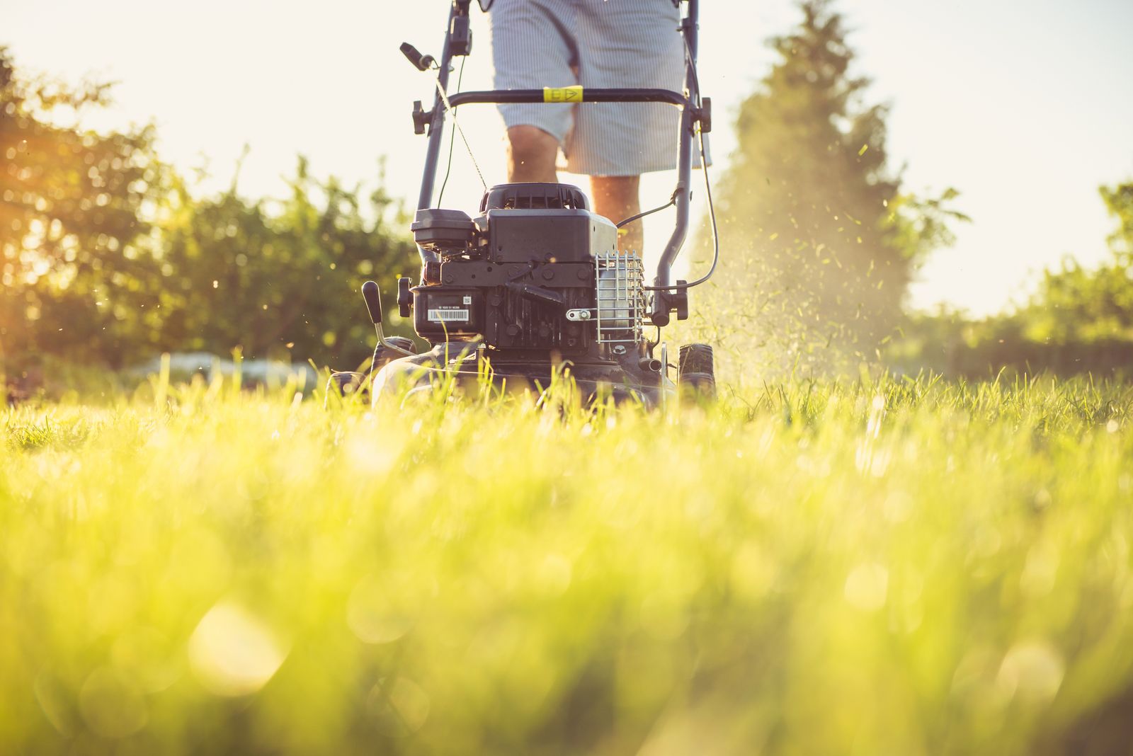 Terrain Lawn Co. lawn transformation